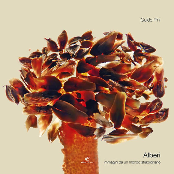 Pini Alberi Eidon Edizioni Copertina fronte